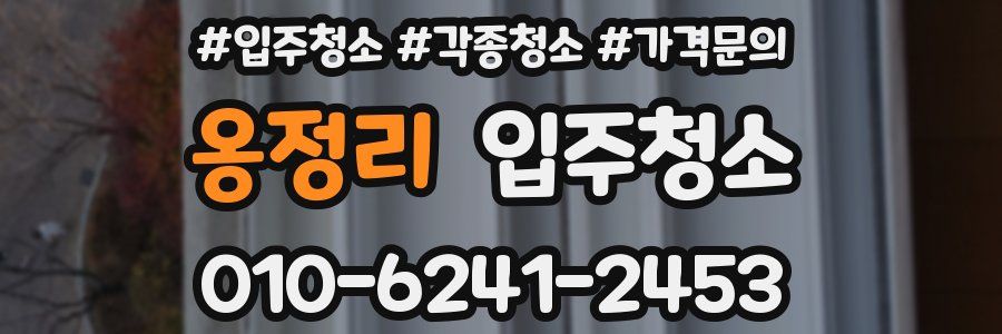 옹정리 이사청소