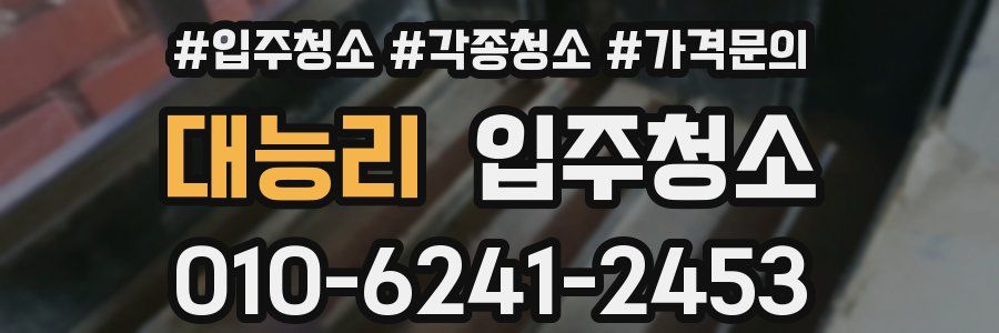 대능리 이사청소