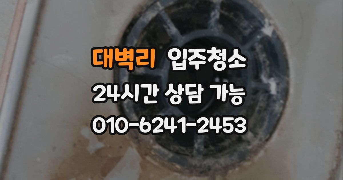 대벽리 입주청소