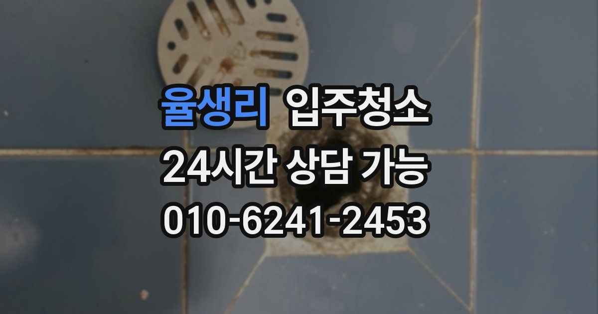 율생리 입주청소