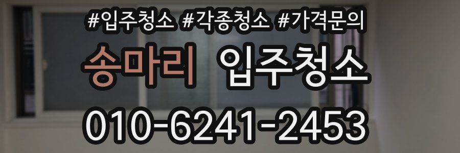 송마리 이사청소