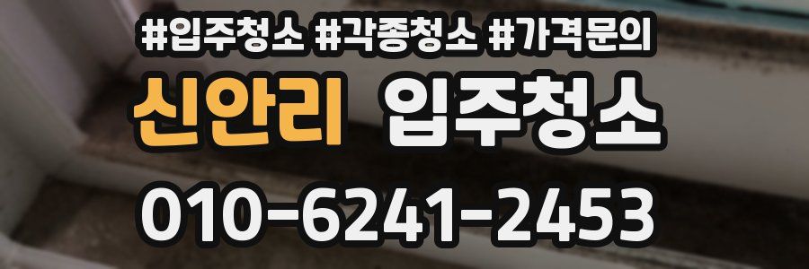 신안리 이사청소