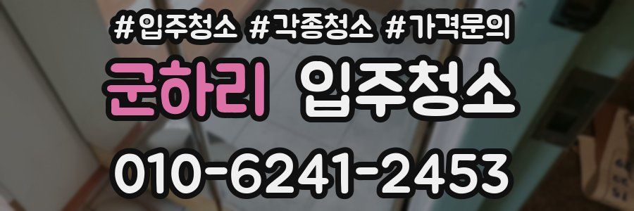 군하리 이사청소