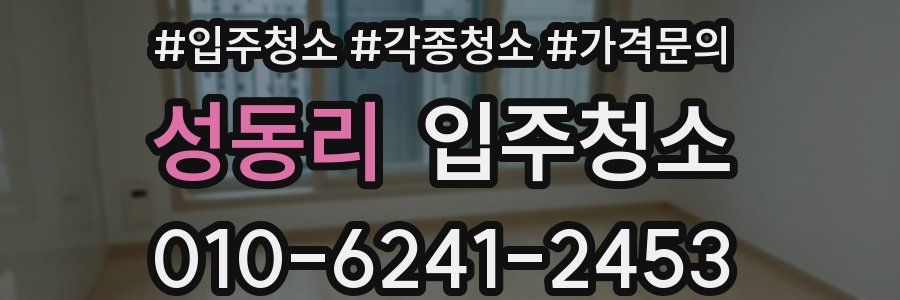 성동리 이사청소