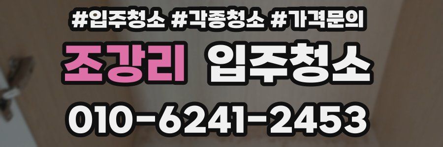 조강리 이사청소