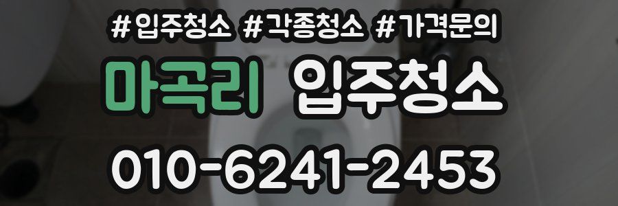 마곡리 이사청소