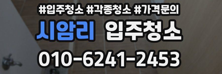 시암리 이사청소