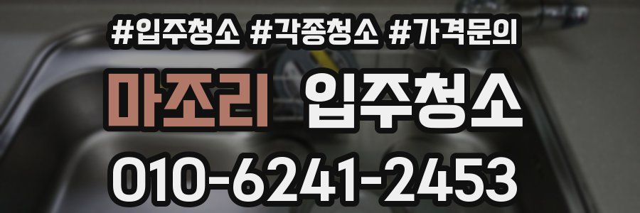 마조리 이사청소