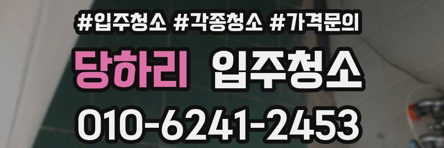 당하리 이사청소