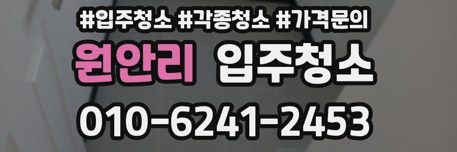 원안리 이사청소