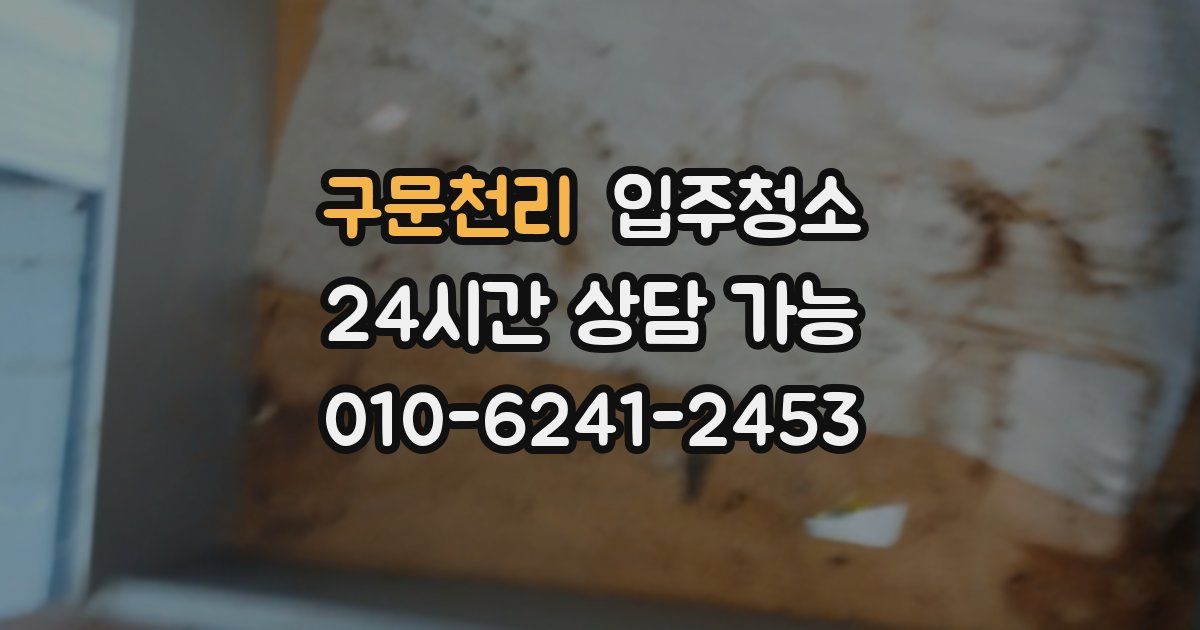 구문천리 입주청소