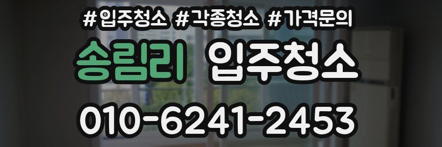 송림리 이사청소