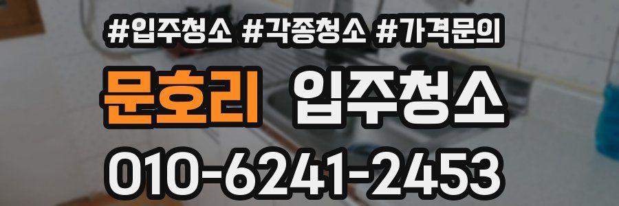 문호리 이사청소