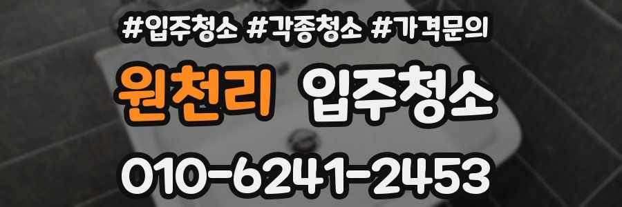 원천리 이사청소