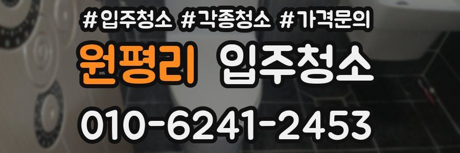 원평리 이사청소