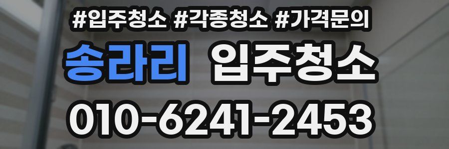 송라리 이사청소