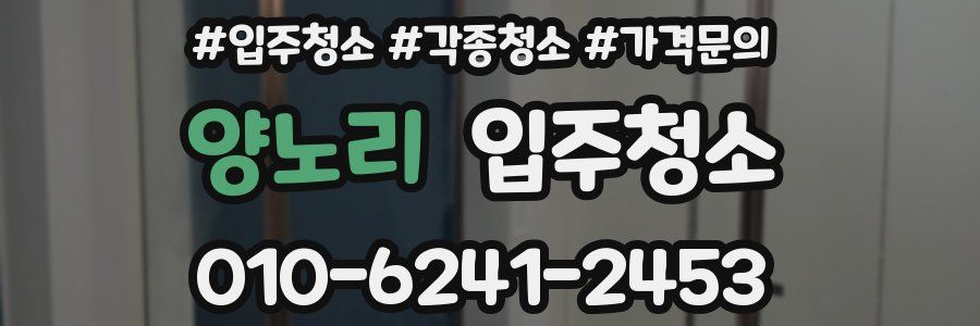 양노리 이사청소