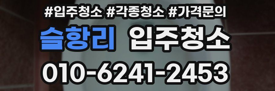 슬항리 이사청소