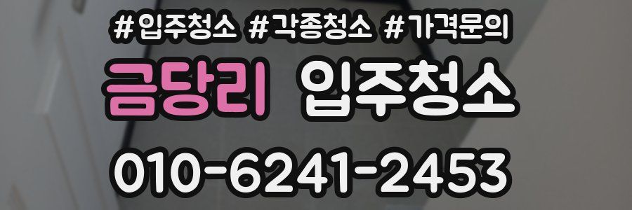 금당리 이사청소