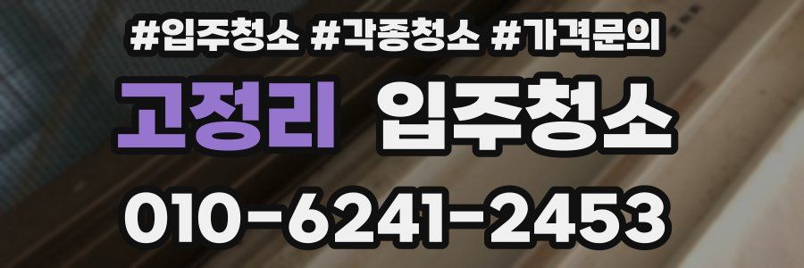 고정리 이사청소