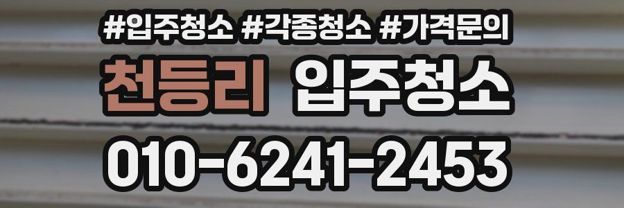 천등리 이사청소