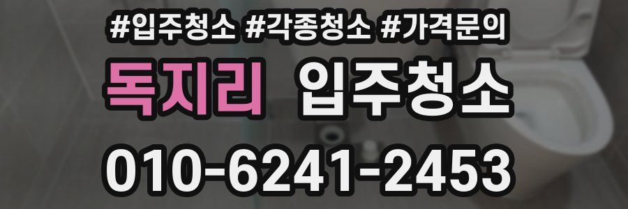 독지리 이사청소