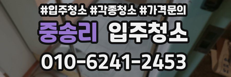 중송리 이사청소