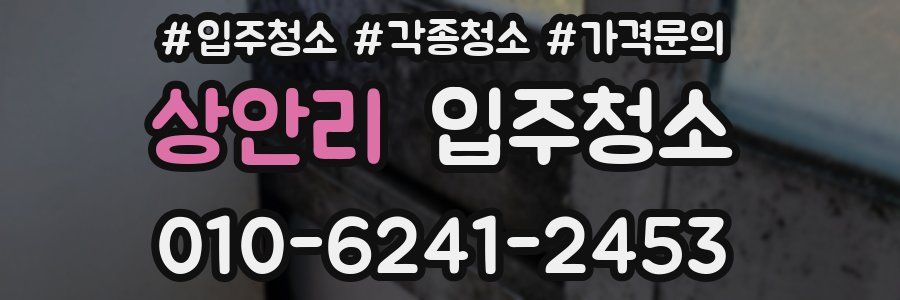 상안리 이사청소