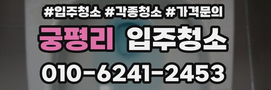 궁평리 이사청소