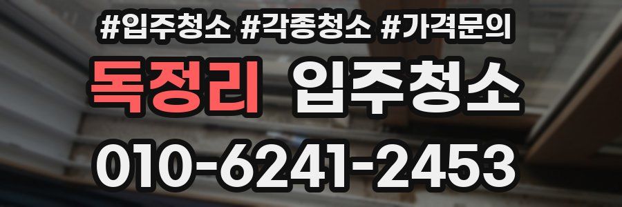 독정리 이사청소