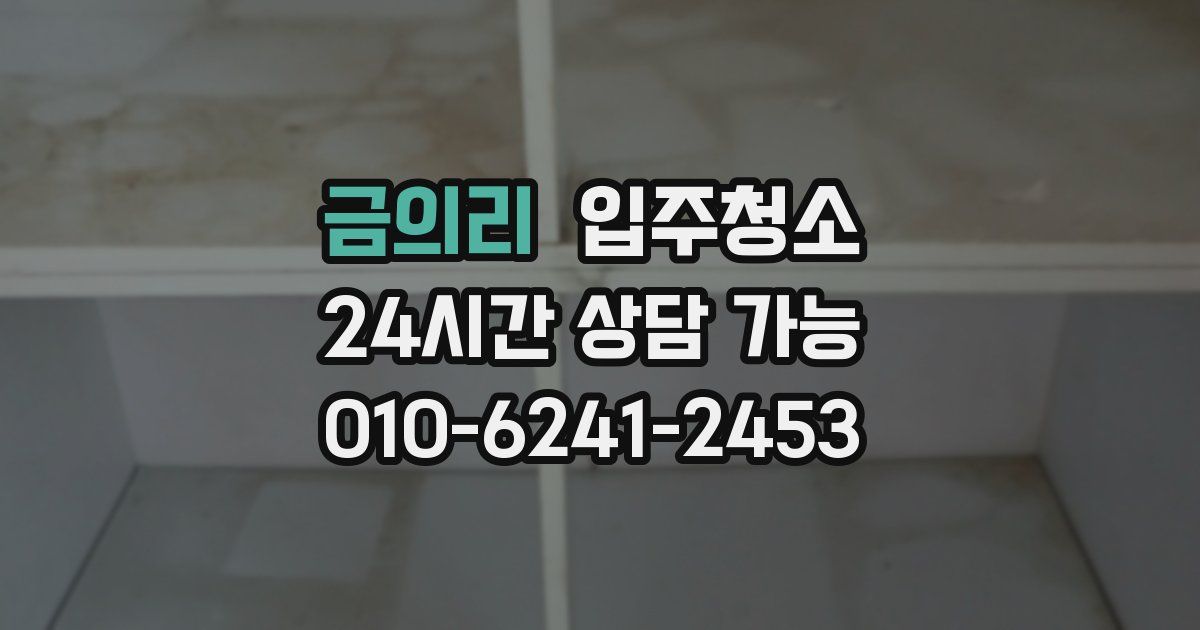 금의리 입주청소