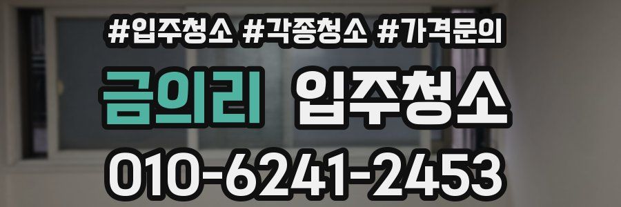 금의리 이사청소