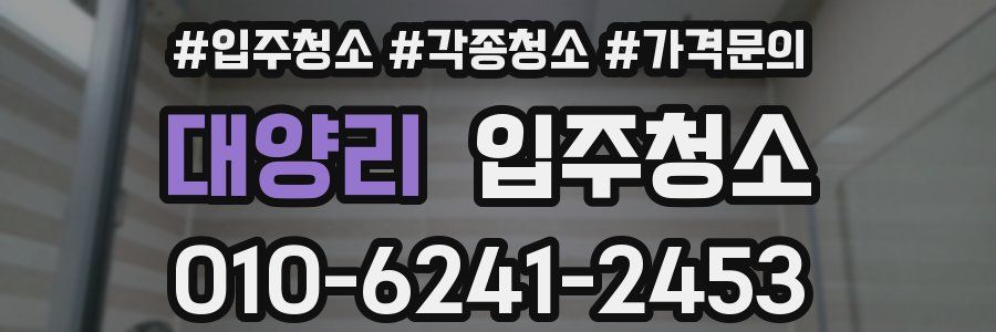 대양리 이사청소