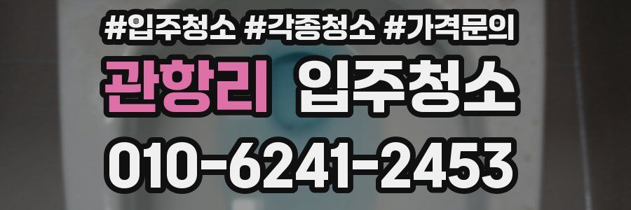 관항리 이사청소