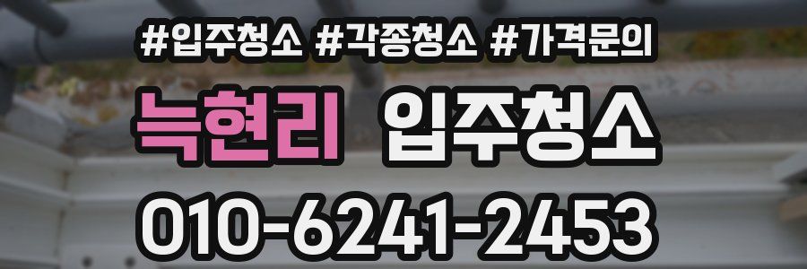 늑현리 이사청소