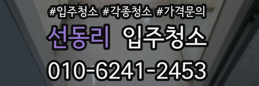 선동리 이사청소