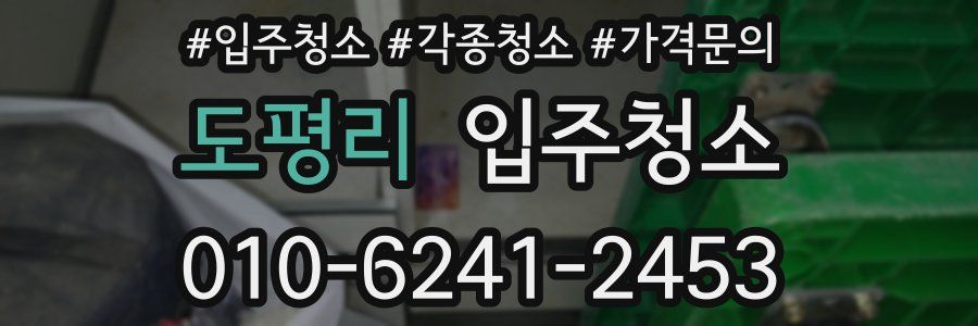 도평리 이사청소