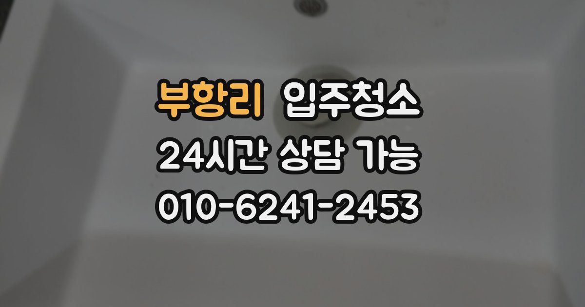 부항리 입주청소