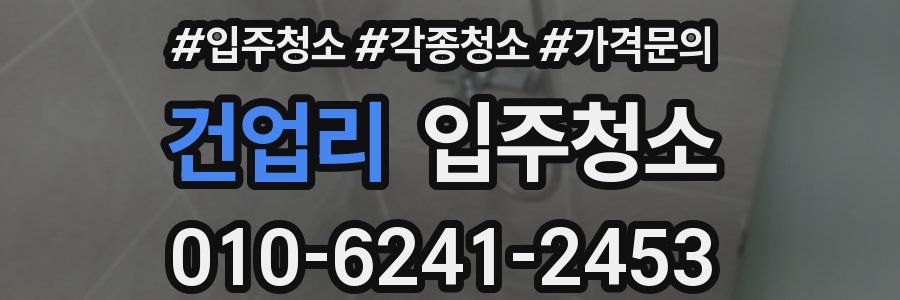 건업리 이사청소