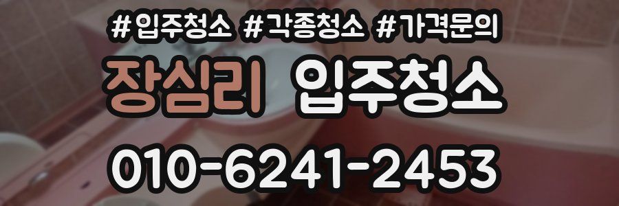 장심리 이사청소