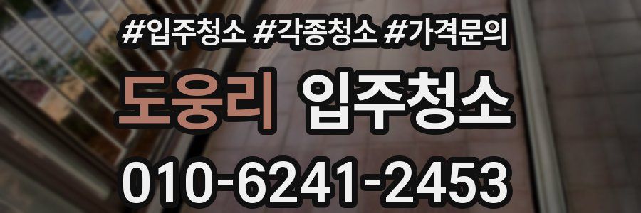 도웅리 이사청소