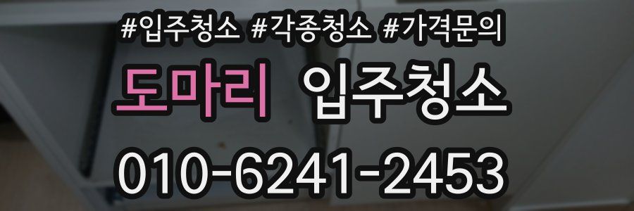 도마리 이사청소