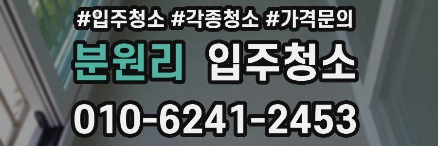 분원리 이사청소