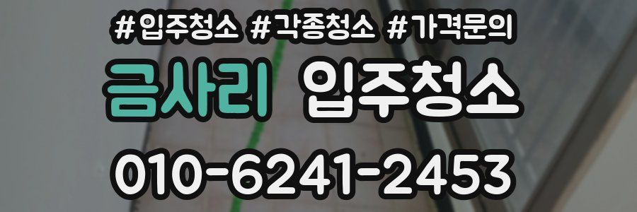 금사리 이사청소