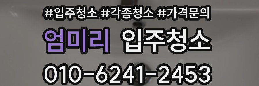 엄미리 이사청소