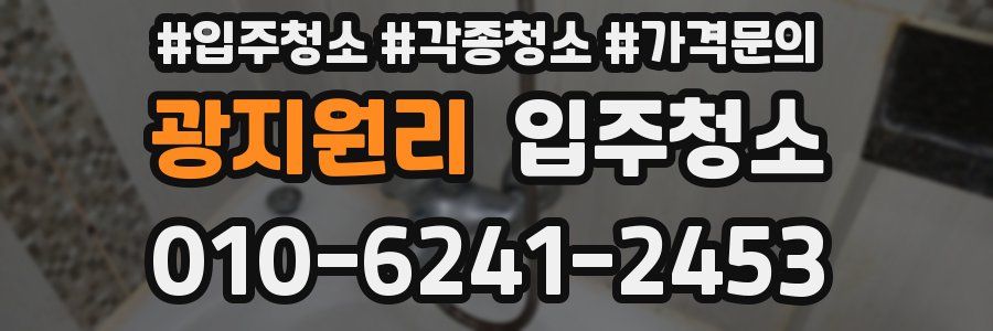 광지원리 이사청소
