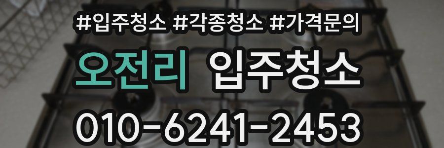 오전리 이사청소