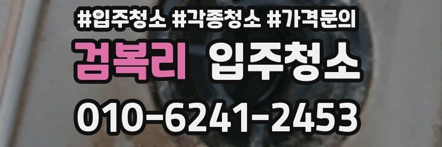 검복리 이사청소