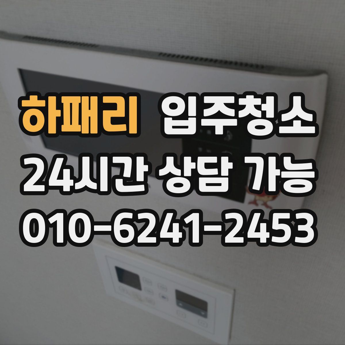 하패리 원룸청소