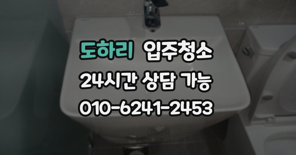 도하리 입주청소